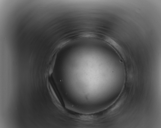 X0000089691049200706281412