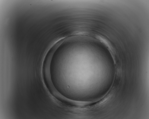 X0000089691050200706281412