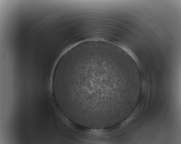 X0000089691052200706281412