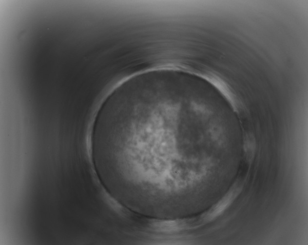 X0000089691054200706281412