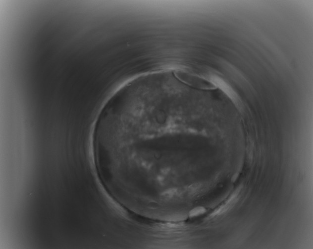 X0000089691055200706281412