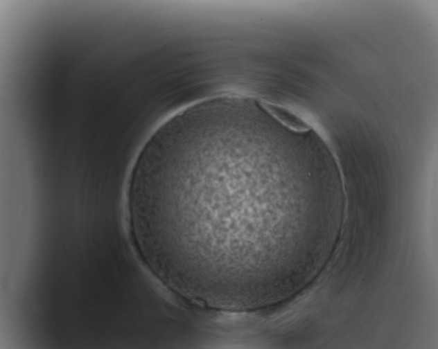 X0000089691056200706281412