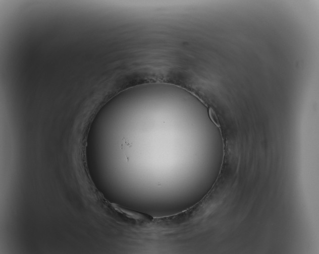 X0000089691057200706281412