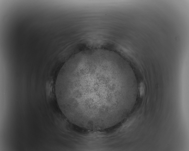 X0000089691059200706281412