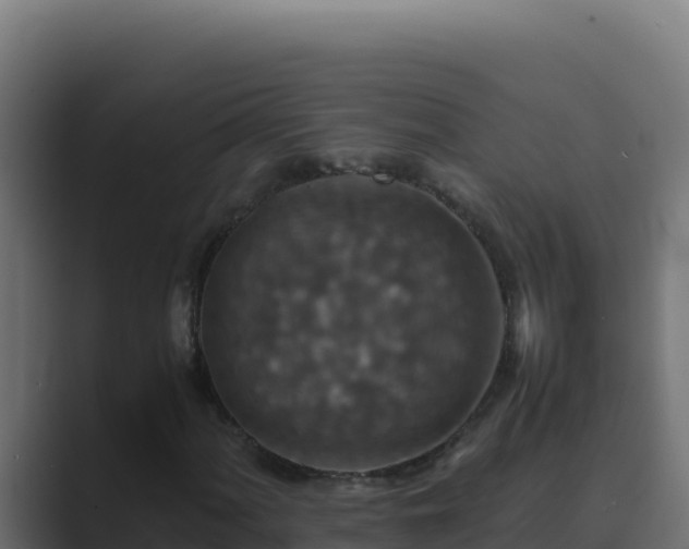 X0000089691060200706281412