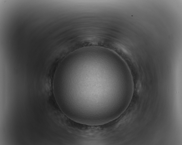 X0000089691062200706281412