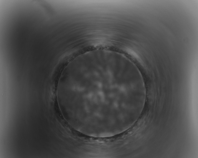 X0000089691063200706281412