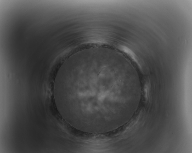 X0000089691064200706281412