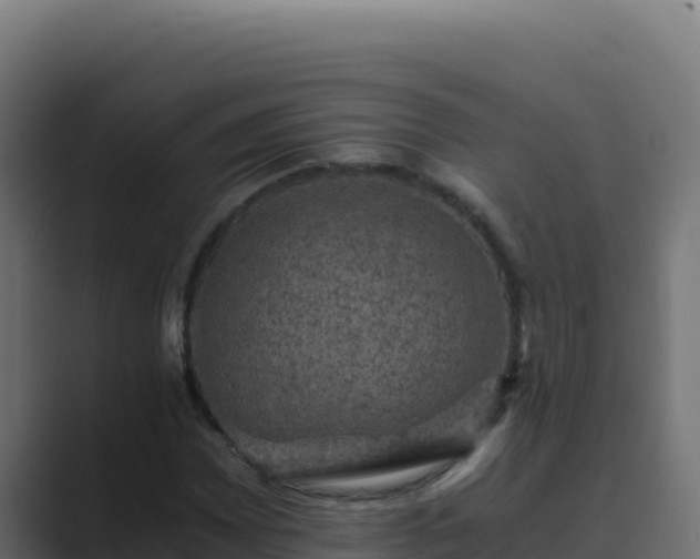 X0000089691065200706281412