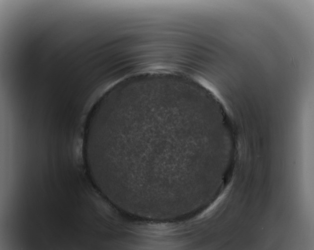 X0000089691066200706281411