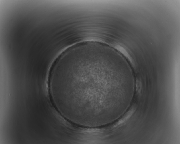 X0000089691068200706281411