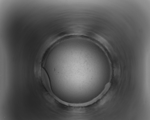 X0000089691069200706281411