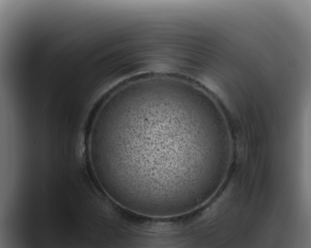 X0000089691070200706281411