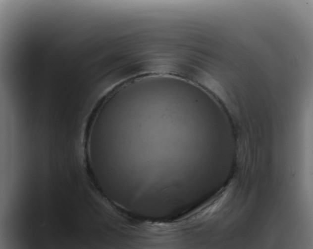 X0000089691071200706281411