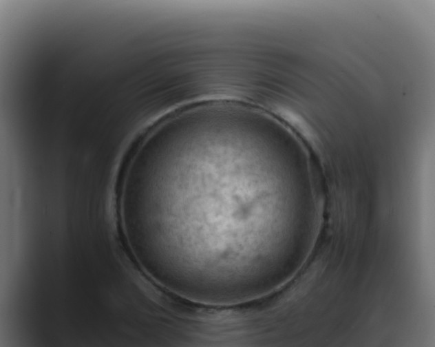 X0000089691072200706281411