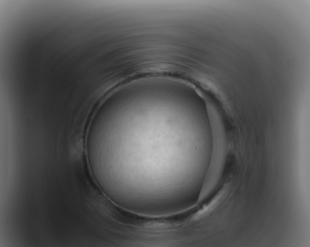 X0000089691073200706281411