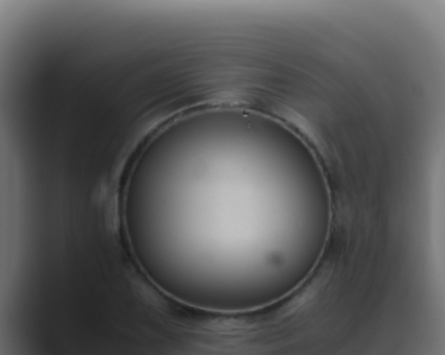 X0000089691075200706281411