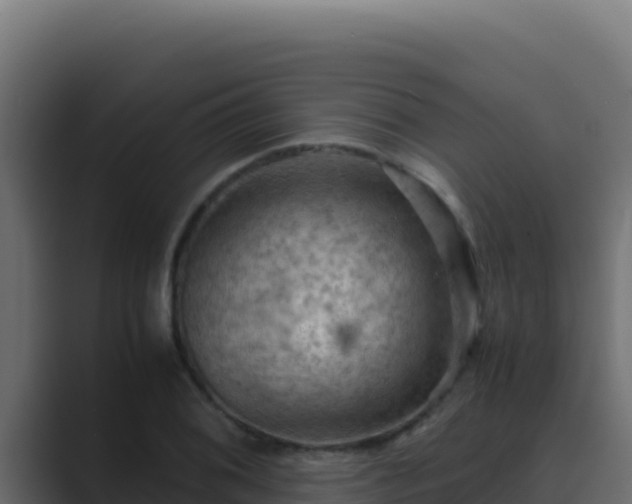 X0000089691076200706281411