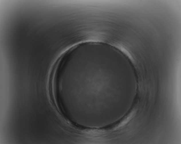 X0000089691077200706281411