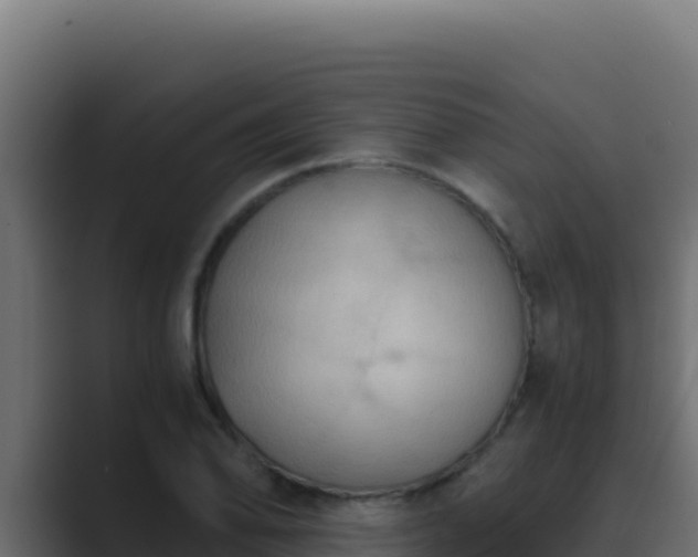 X0000089691078200706281411