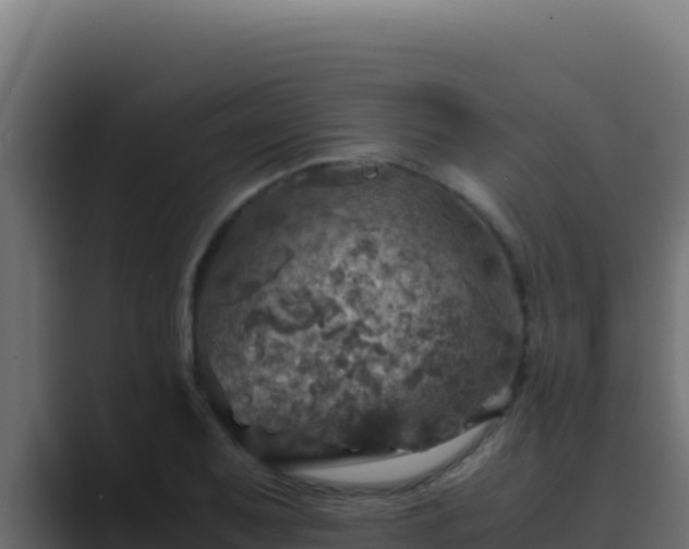 X0000089691079200706281411