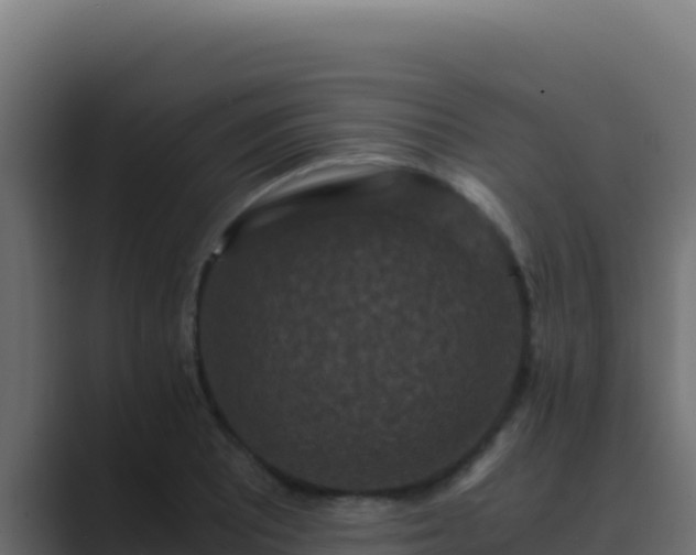 X0000089691081200706281411