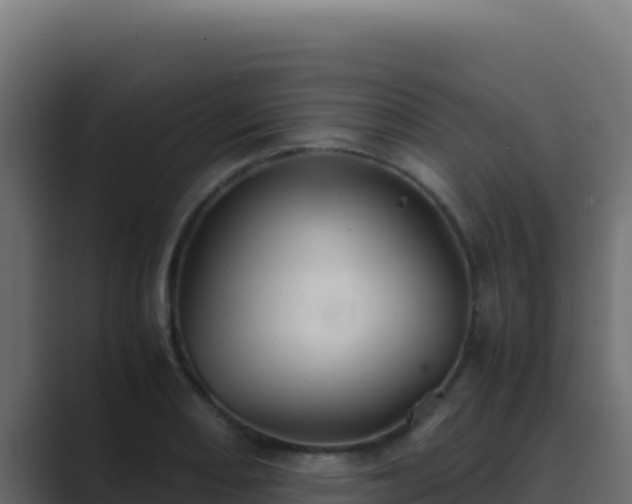 X0000089691082200706281411