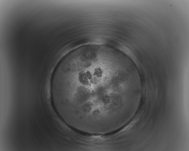 X0000089691083200706281411