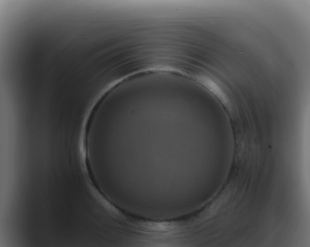 X0000089691084200706281411