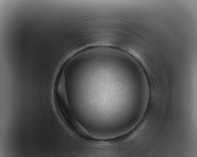 X0000089691085200706281411