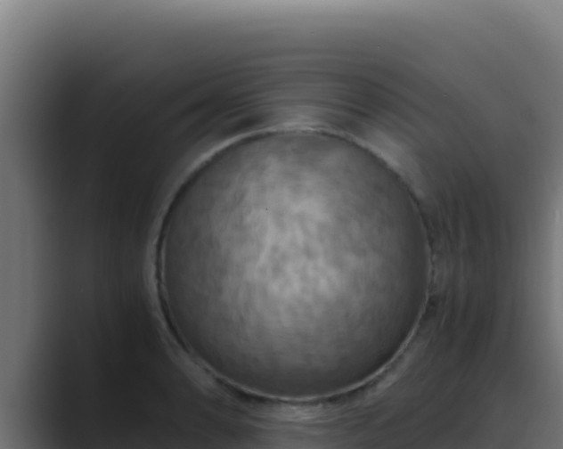 X0000089691086200706281411