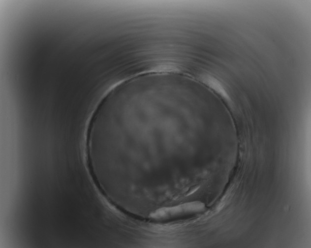 X0000089691087200706281411