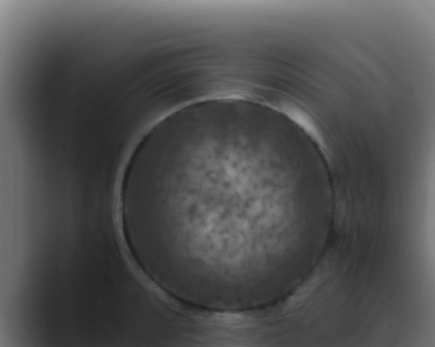 X0000089691088200706281411