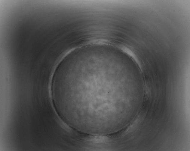 X0000089691090200706281411