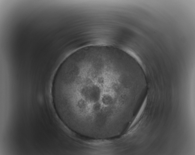 X0000089691091200706281411