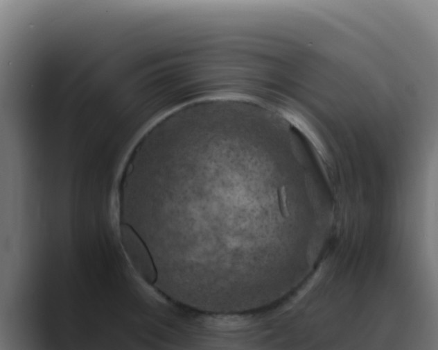 X0000089691092200706281411