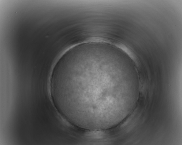 X0000089691094200706281411