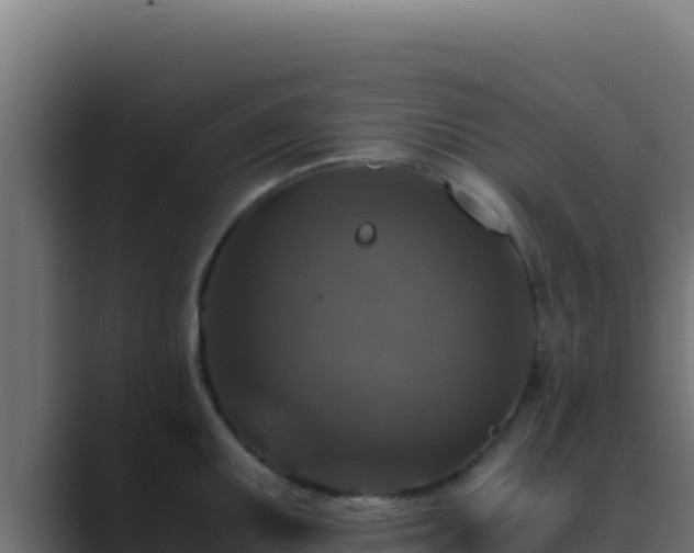 X0000089691095200706281411