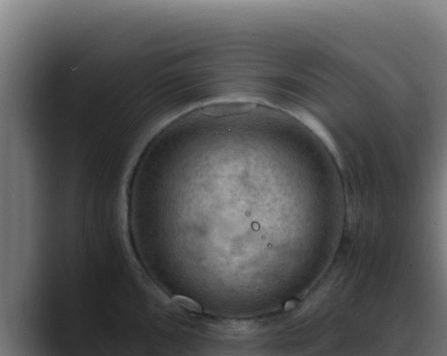 X0000089691096200706281411