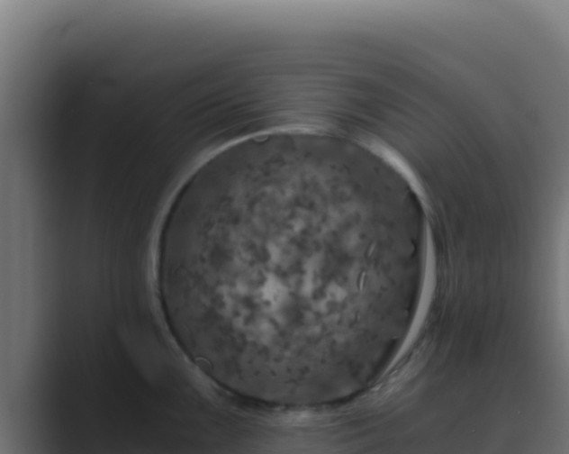 X0000089691099200706281411