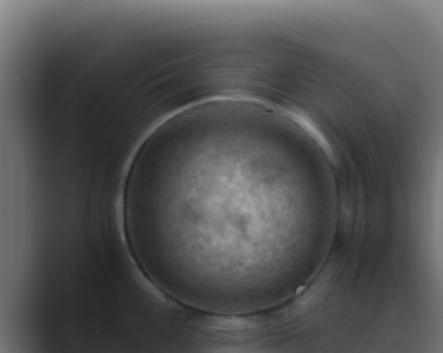 X0000089691100200706281411