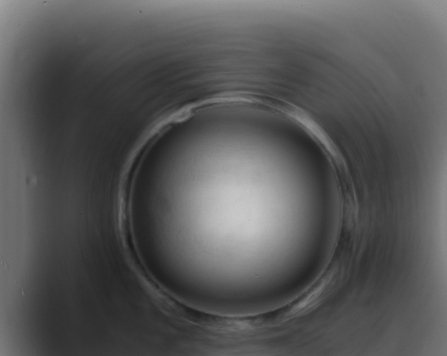 X0000089691101200706281411