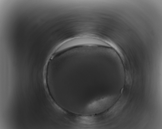 X0000089691102200706281411