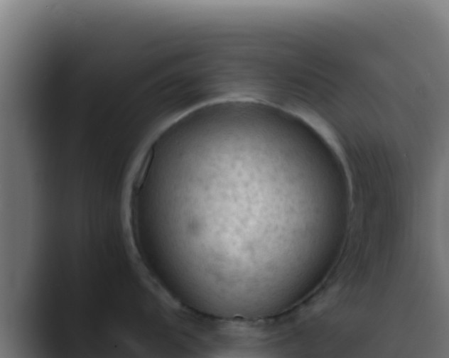 X0000089691104200706281411