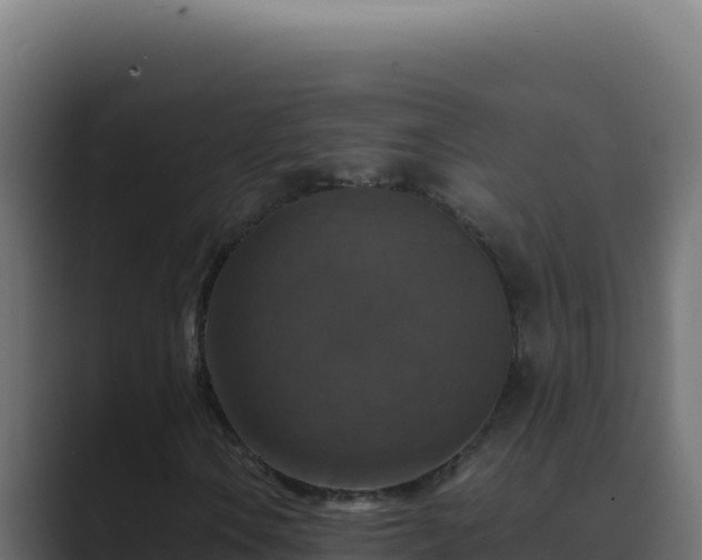 X0000089691106200706281411