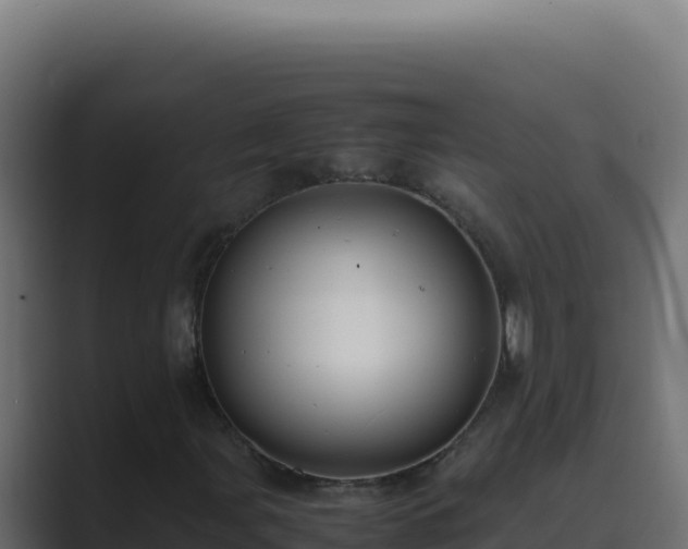 X0000089691107200706281411