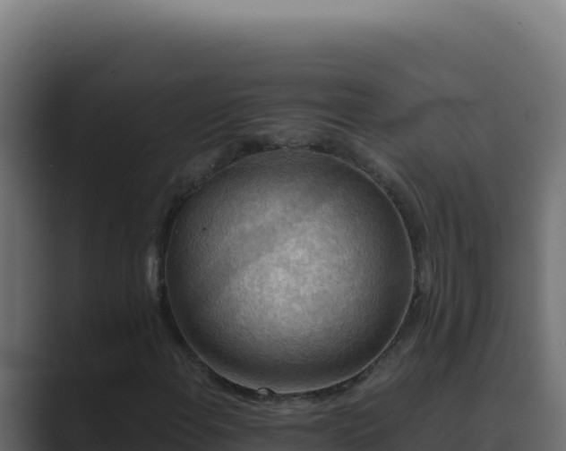 X0000089691108200706281411