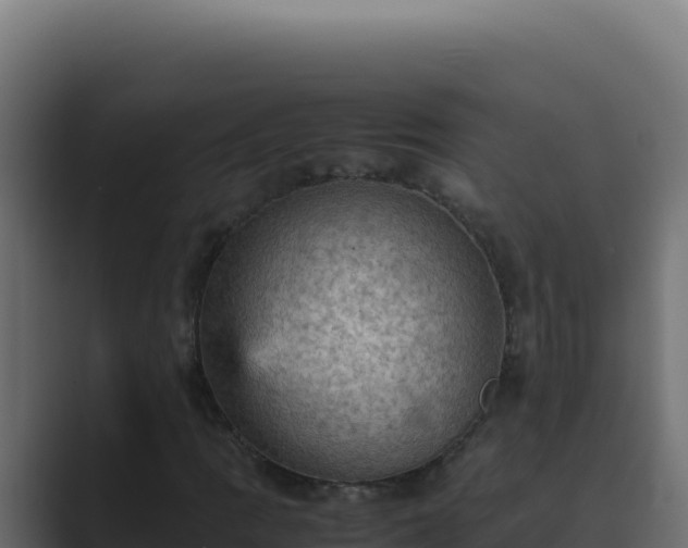 X0000089691109200706281411