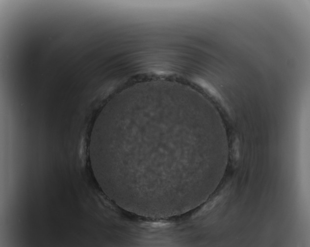 X0000089691110200706281411