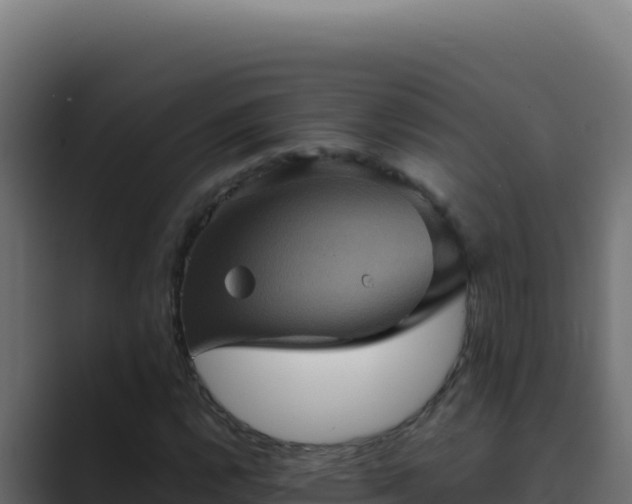 X0000089691112200706281411